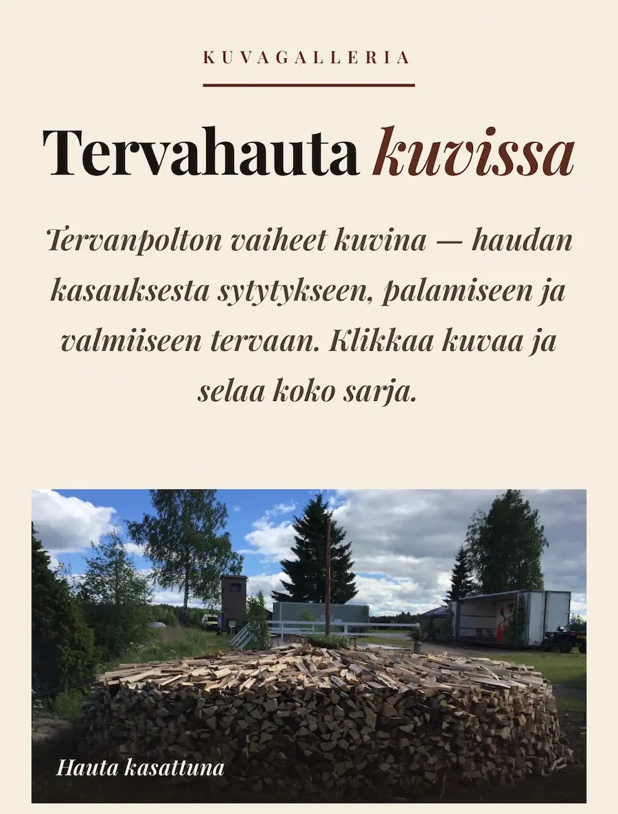 tervanpoltto